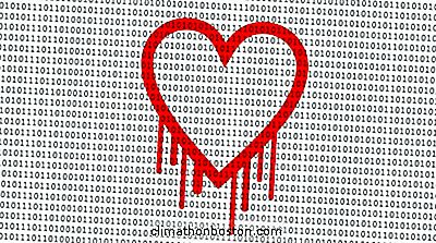 Management: Der Effekt Von Heartbleed Auf Allgemein Benutzten Kleinen Geschäft Websites